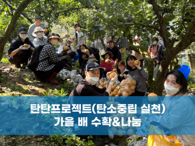 탄탄프로젝트 배나무 텃밭 수확&나눔